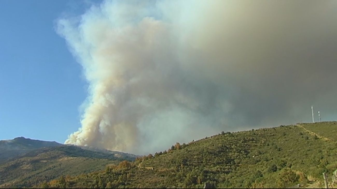 Varios bomberos forestales evacuados por intoxicación de humo en el incendio de Peñalba de la Sierra (Guadalajara)