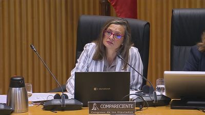 La delegada del Gobierno contra la Violencia de Género pide "disculpas a todas las mujeres"