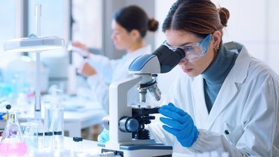 Guía para no perderse nada de 'La noche europea de los investigadores' en Madrid