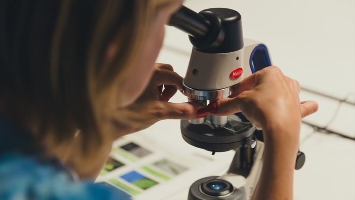 Investigadora científica / EUROPA PRESS