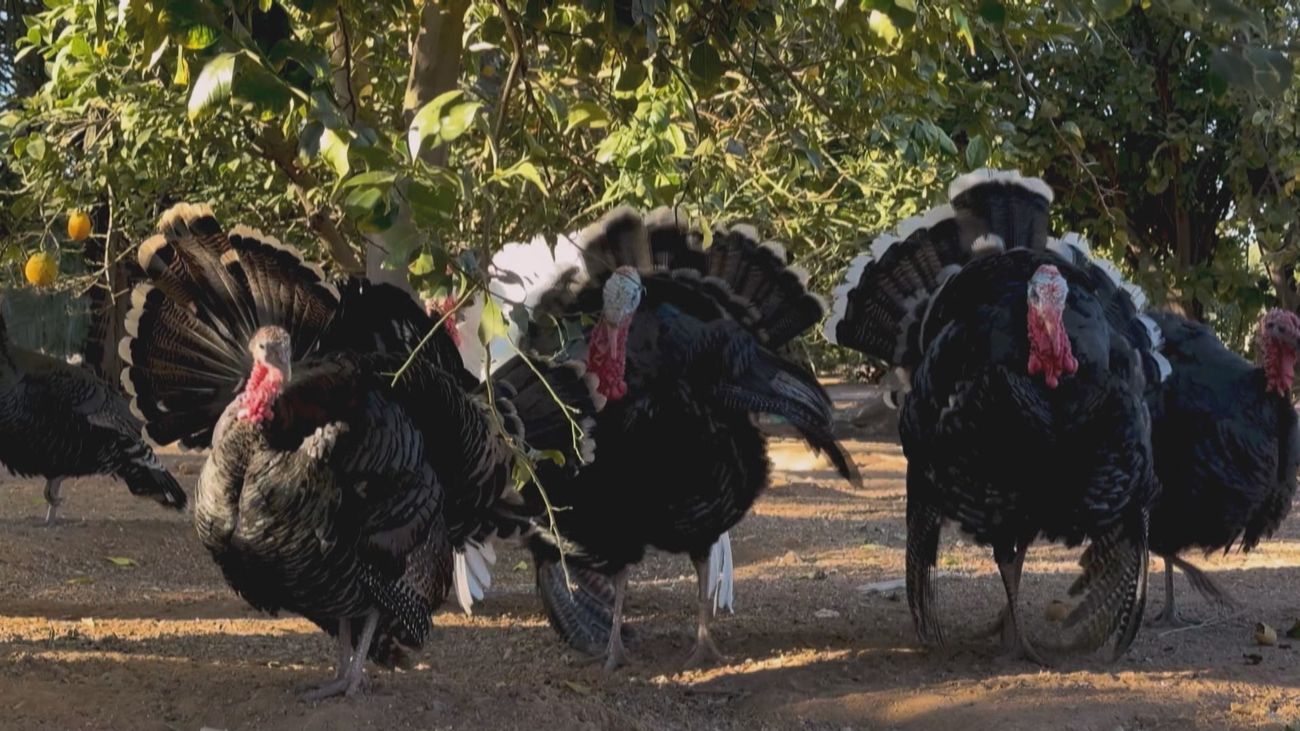 Madrid mejora tu vida 28.09.2025