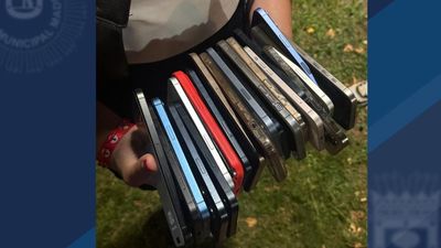 Dos detenidos por robar 21 móviles en el festival Jardín de las Delicias