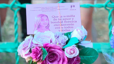 A juicio por asesinar a su exnovia de 19 años de 42 puñaladas en Parla