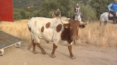 Pasamos la mañana en Pedrezuela disfrutando de las fiestas de San Miguel