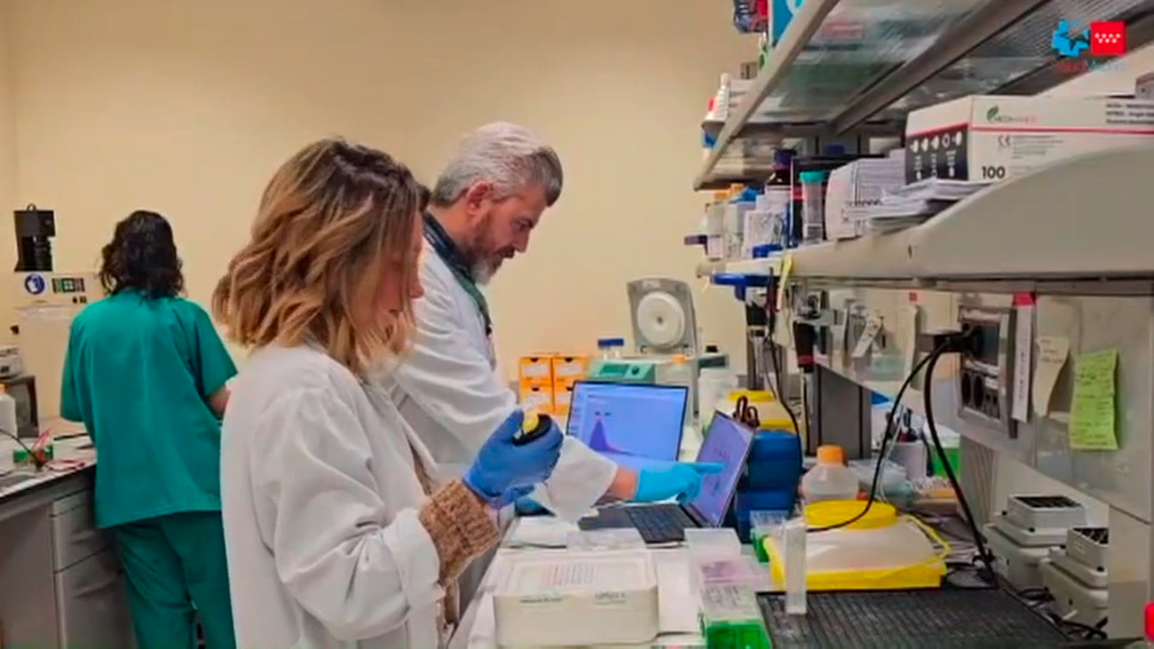 Descubren que unas células del sistema inmune predispone a padecer Alzheimer y tumores cerebrales