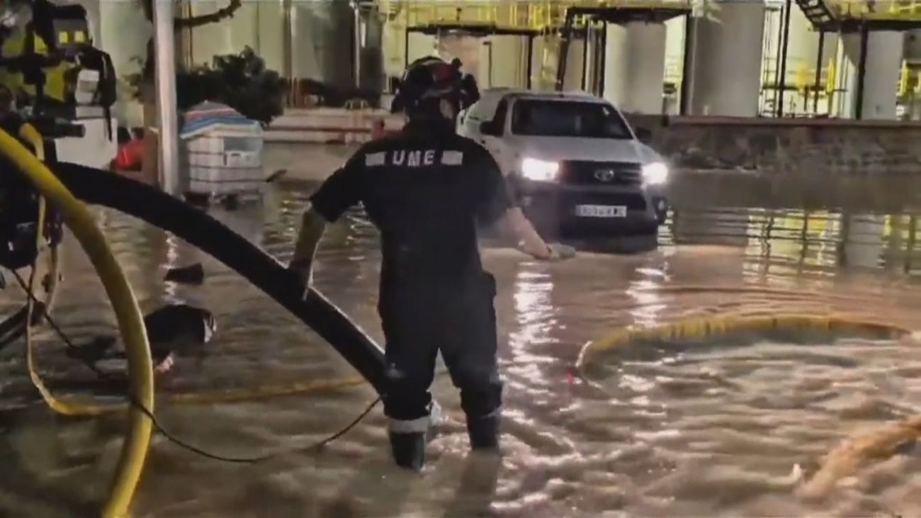 Ibiza pedirá al Estado la declaración de zona catastrófica