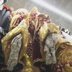 El Ballet Folclórico de Madrid ultima en Arganda los trajes históricos para la Cabalgata de la Hispanidad