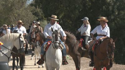 La fiesta del caballo en Boadilla del Monte