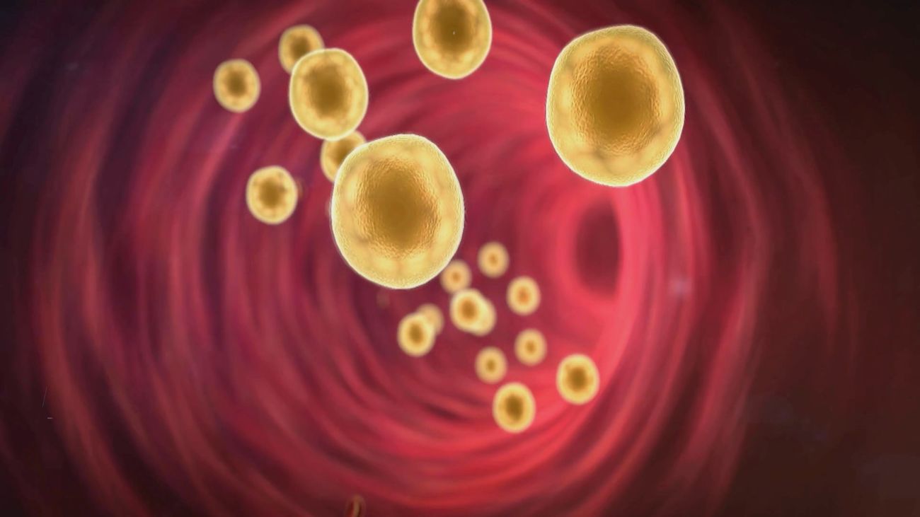 Madrid mejora tu vida 02.10.2025