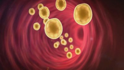 Madrid mejora tu vida 02.10.2025