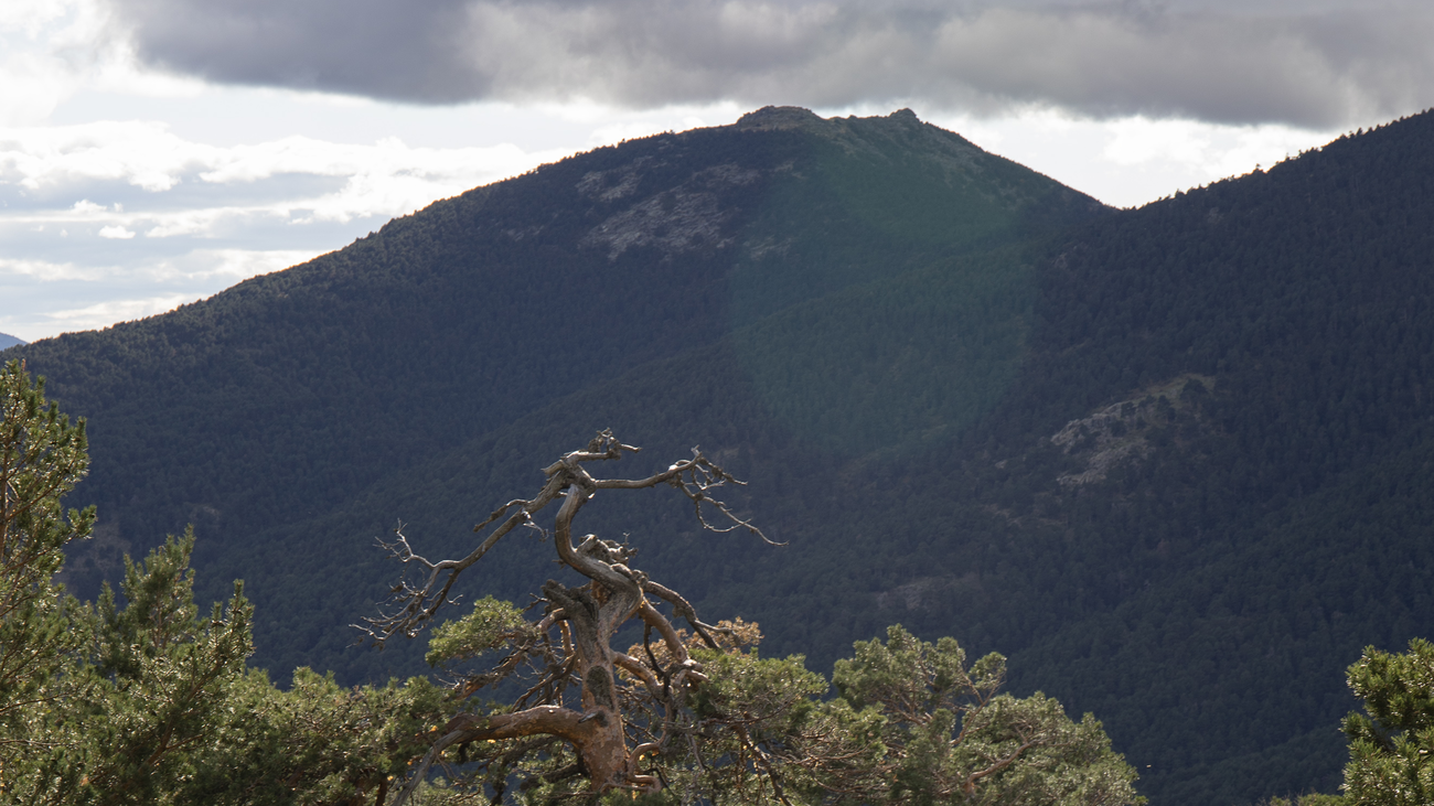 Pico de la Peñota desde la Senda de los Poetas, en Cercedilla