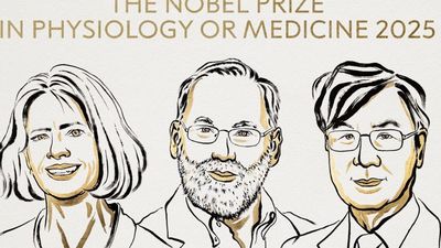 Nobel Medicina para Brunkow, Ramsdell y Sakaguchi por sus descubrimientos con la  tolerancia inmunológica periférica