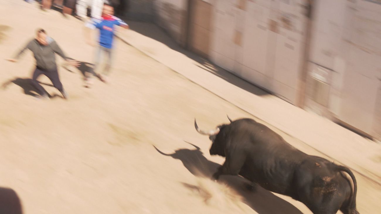 A Torres de la Alameda le queda un día de fiestas y lo pasamos en grande