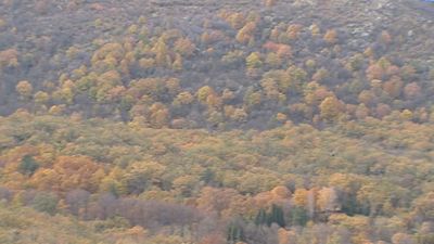 Madrid reformará su Ley Forestal para fomentar la limpieza de los montes y prevenir incendios
