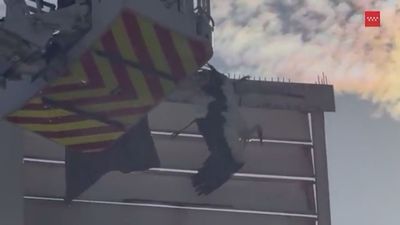 Así ha sido el difícil rescate de una cigüeña en apuros en San Martín de la Vega