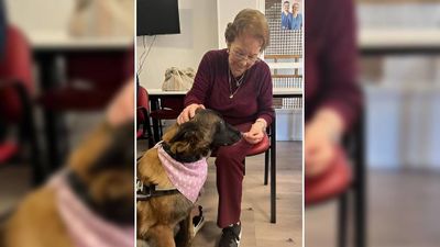 Karma, la perrita que visita las residencias de Galapagar para hacer compañía a los mayores