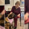 Karma, la perrita que visita las residencias de Galapagar para hacer compañía a los mayores