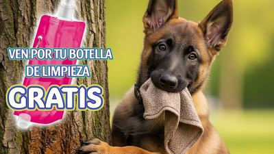 El orín de tu perro también ensucia, Móstoles regala botellas para diluirlo