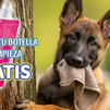 El orín de tu perro también ensucia, Móstoles regala botellas para diluirlo