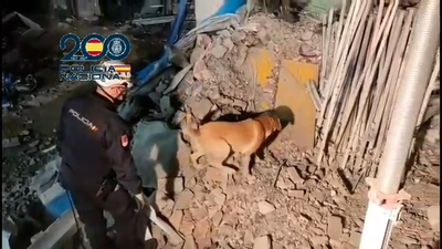 Este es el momento en el que los perros localizan a las dos últimas víctimas del derrumbe en Hileras 4