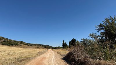 Ambite recupera algunos de sus caminos dañados por la DANA