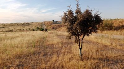 Critican por "obsoleto" el proyecto urbanístico de Retamar de la Huerta, en Alcorcón