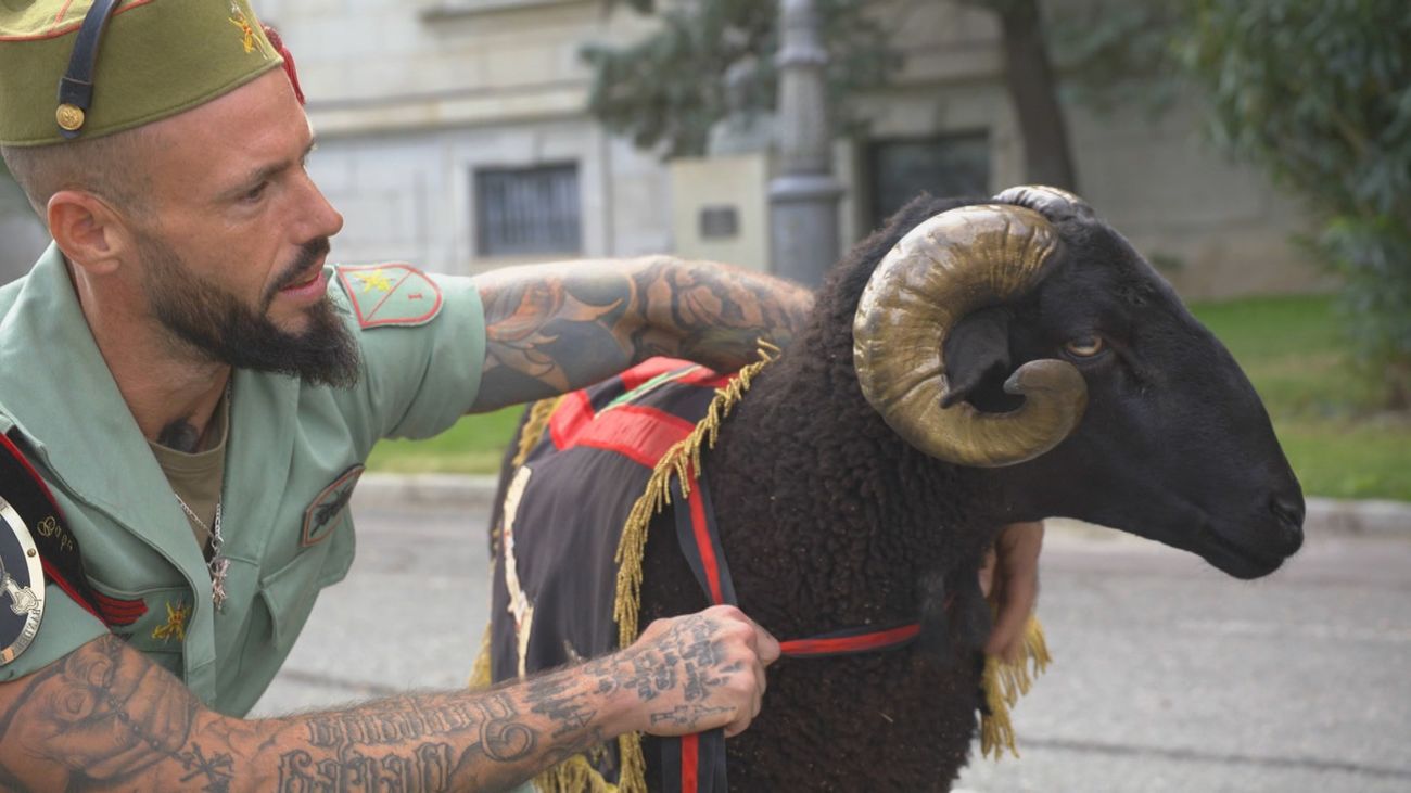 Conocemos a Baraka, la mascota que desfilará con la Legión