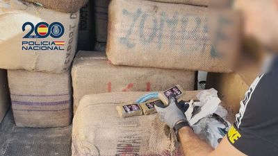 Detenido en Torrejón de Ardoz con una tonelada de hachís