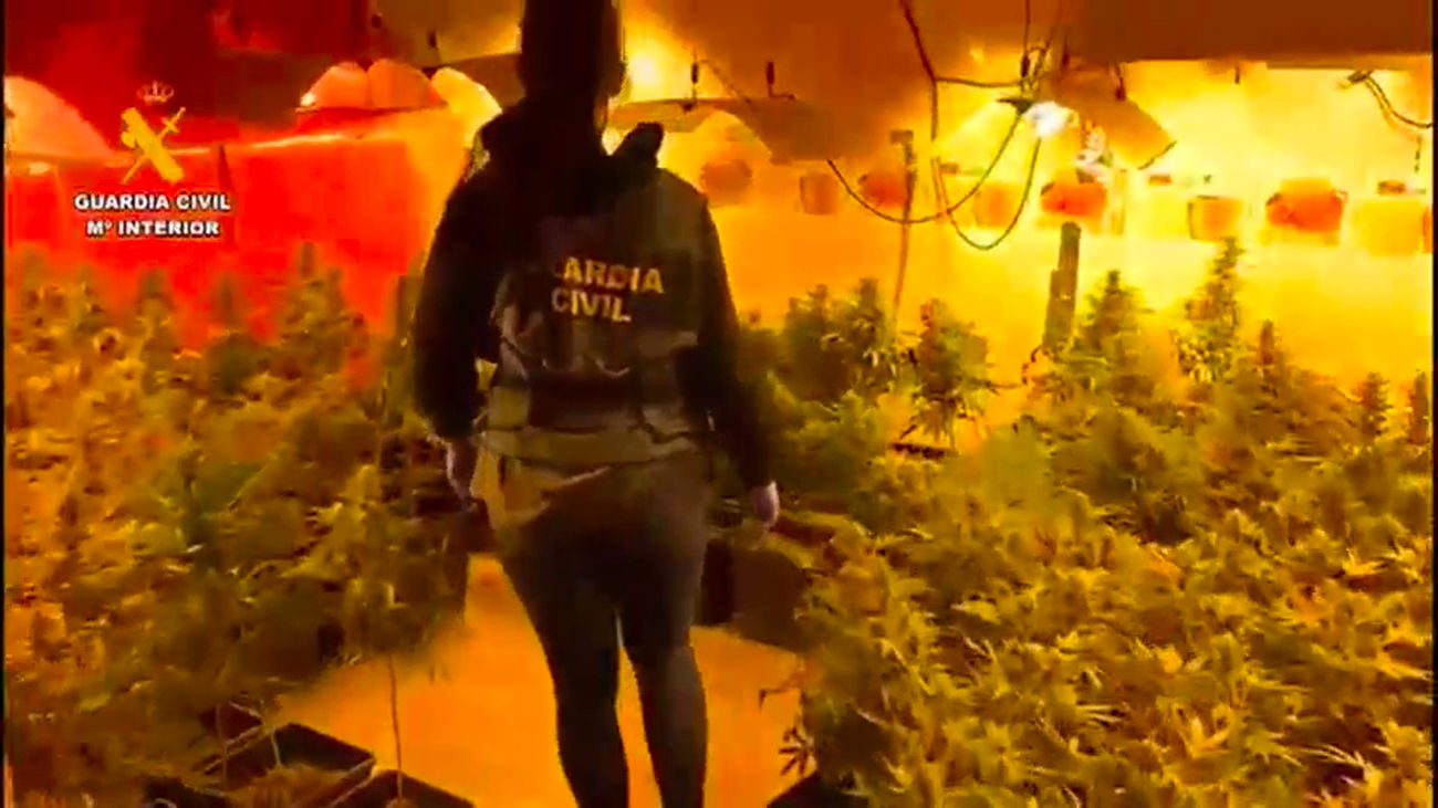 Desarticulada una red criminal dedicada al tráfico de drogas en la Cañada Real