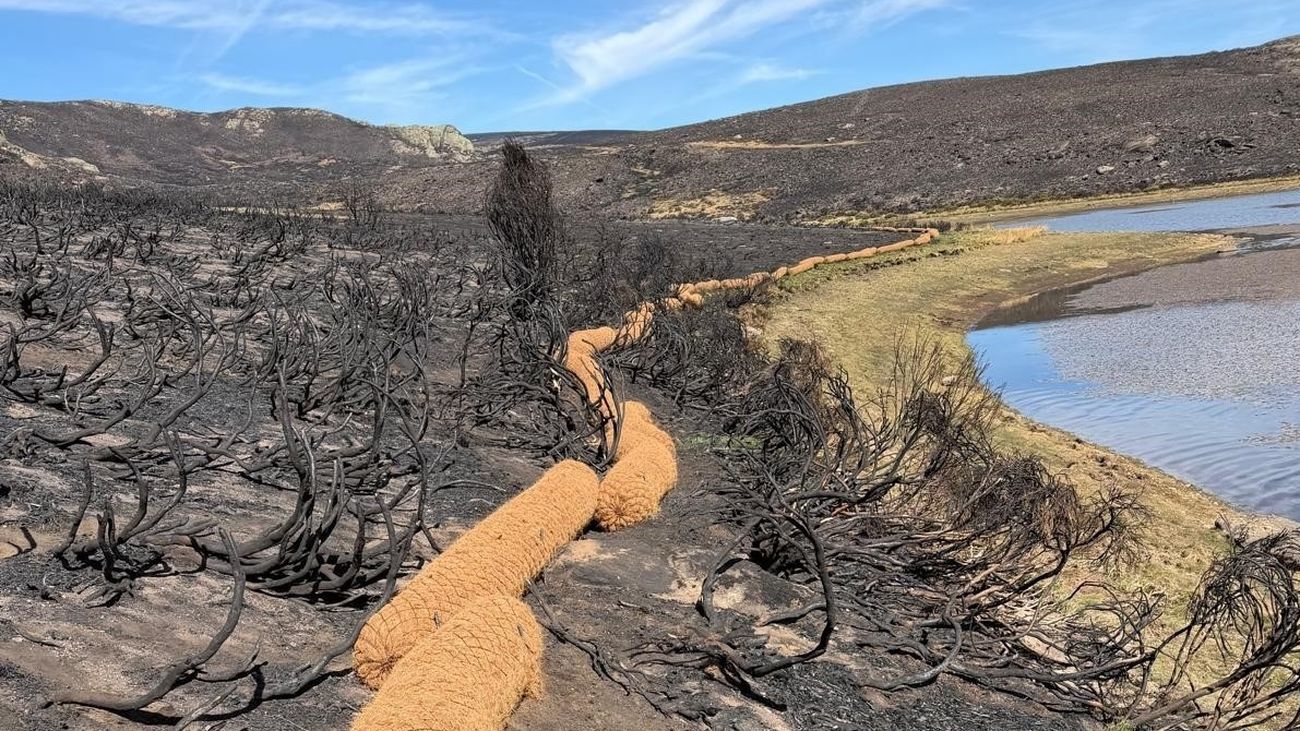 Trabajos de restauración hidrológico-forestal para proteger el Lago de Sanabria (Zamora) tras los incendios