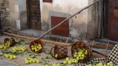 La Hiruela, casi dos décadas festejando la Recolección del Pero