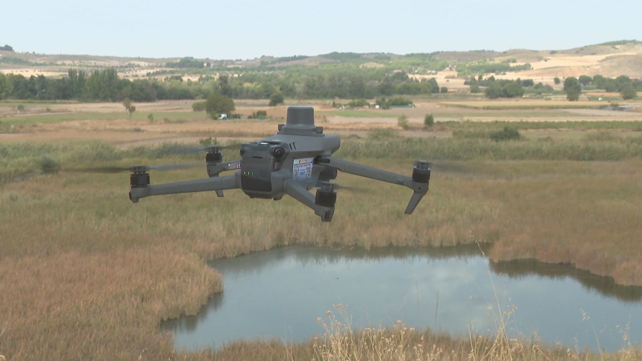 Drones para estudiar la fauna autóctona en los humedales de Madrid