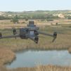 Drones para estudiar la fauna autóctona en los humedales de Madrid