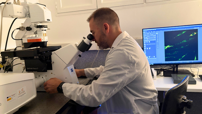 El Hospital 12 de Octubre, pionero en España con un microscopio capaz de observar células vivas