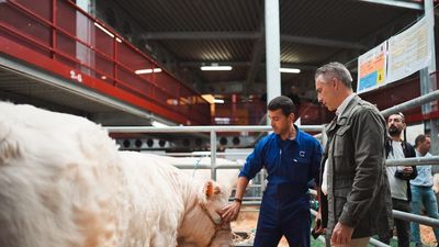 Colmenar Viejo acoge la Subasta Nacional de Ganado Selecto con 172 ejemplares de razas puras