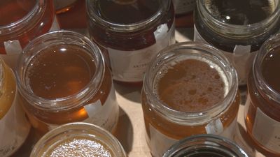 Navacerrada se viste de tradición y naturaleza con la XXIV Feria de la Miel