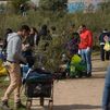 Las Rozas celebra una Gran Plantación Familiar con más de 1.600 nuevos árboles en Punta Galea