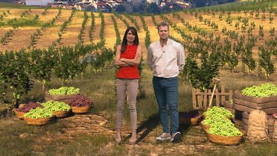 Disfruta el Otoño 18.10.2025