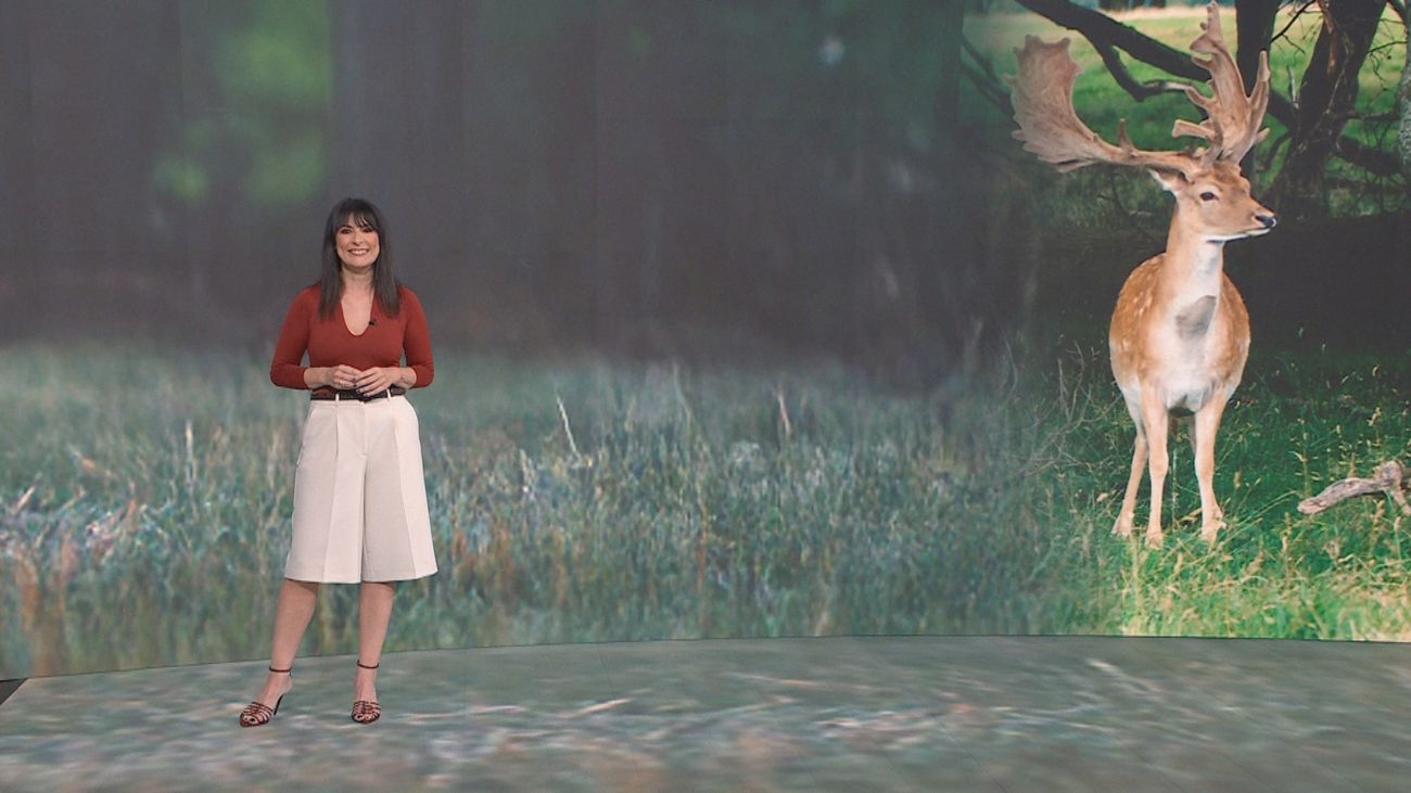 Madrid Directo 17.10.2025