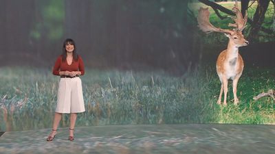 Madrid Directo 17.10.2025