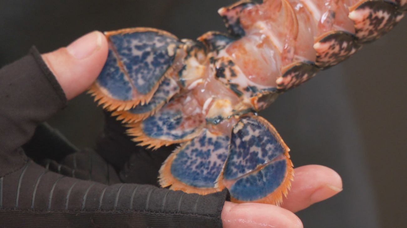 Madrid mejora tu vida 18.10.2025