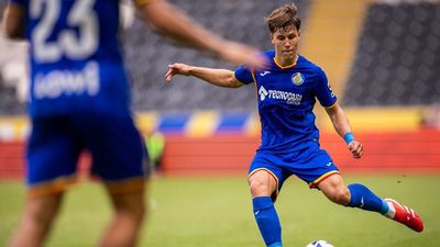 Davinchi, operado con éxito de un menisco