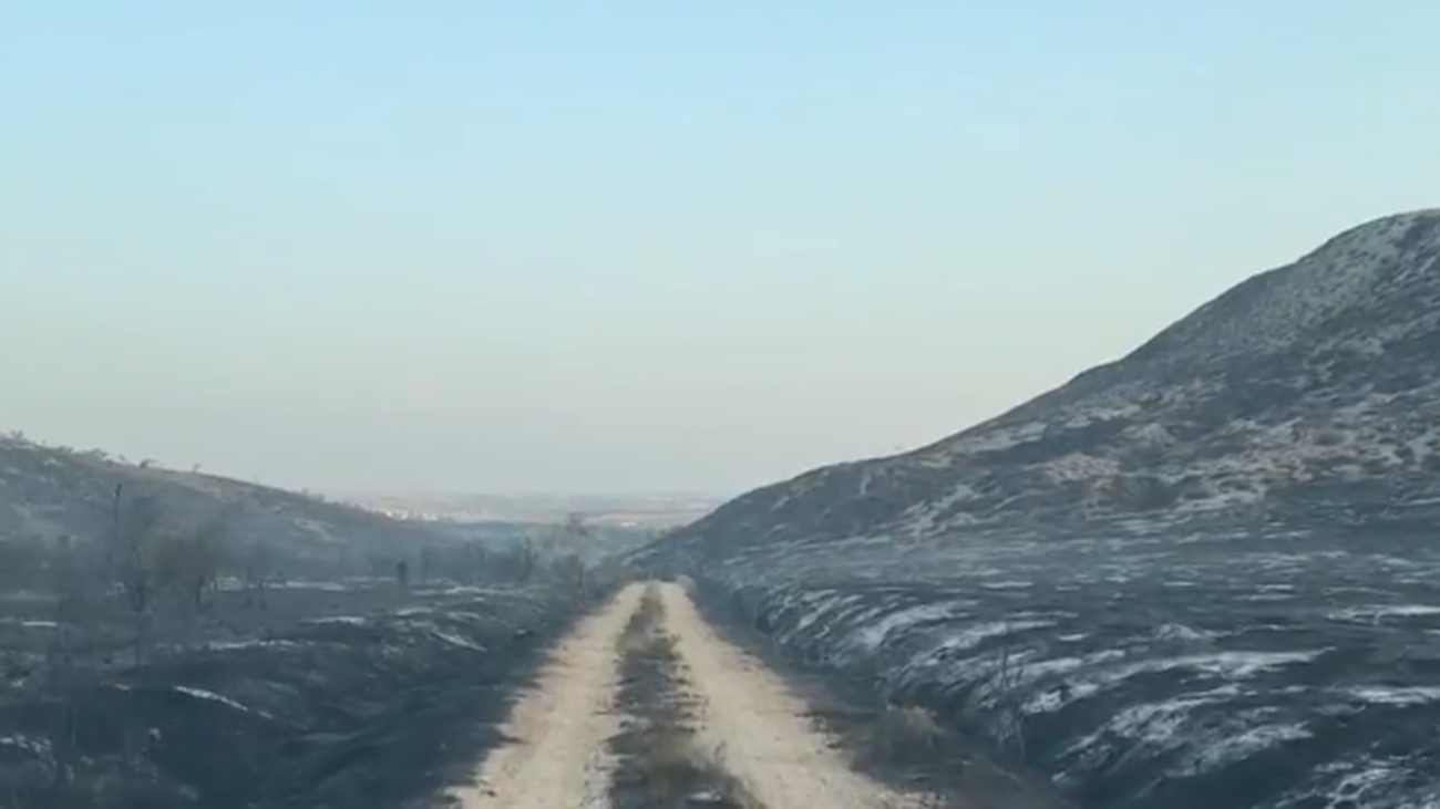 Terrenos afectados por el fuego en Aranjuez, en el incendio del 8 de agosto de 2025