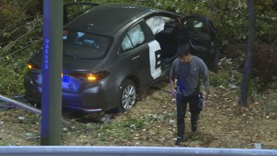 Un VTC se sale en una curva de la M-30 y se lleva varios árboles por delante