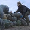 Calabazas de Carabaña para Halloween y para todo el otoño
