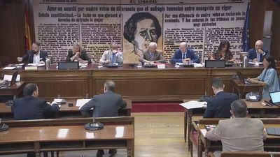 El Senado interroga a los dos últimos gerentes del PSOE, uno de ellos testigo en el 'caso Koldo'