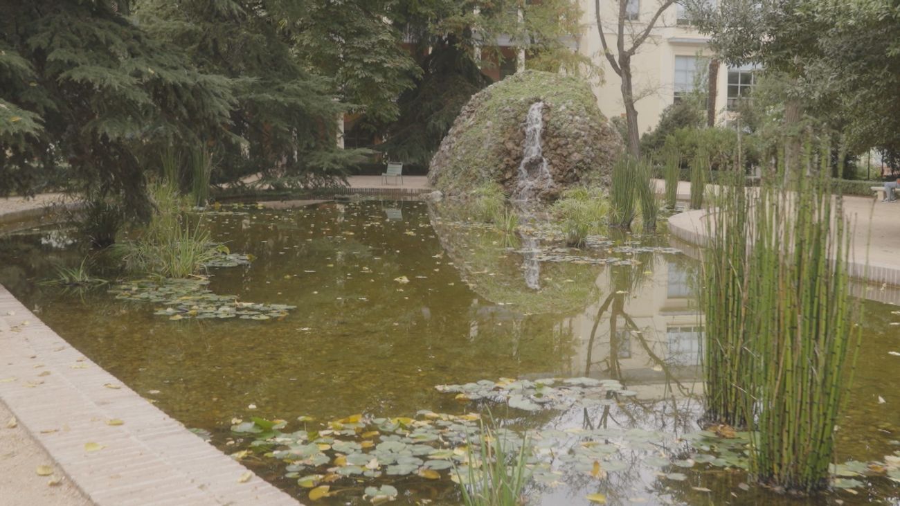 Tras los muros de Vista Alegre: el jardín que guarda siglos de historia