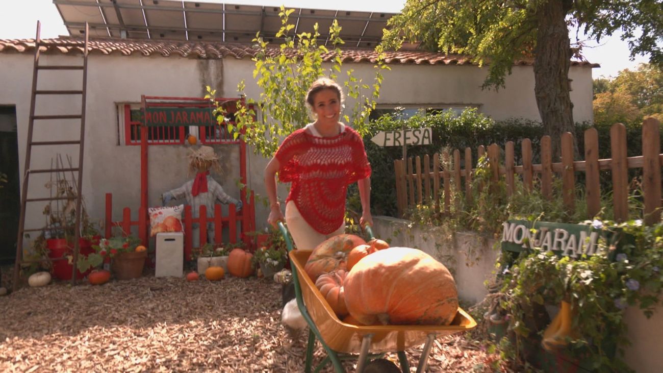 Cosechamos 40 tipos de calabaza y nos encontramos con la de Halloween