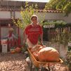 Cosechamos 40 tipos de calabaza y nos encontramos con la de Halloween