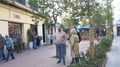 Finaliza la rehabilitación de la plaza de Matute, convertida en un espacio más verde y accesible